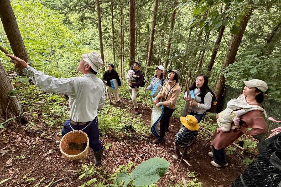 里山の知恵