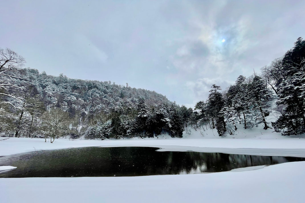 雪の奥日光の静かな湖畔。樹々、雪、水、鳥…がそれぞれにありながら、調和している景色。