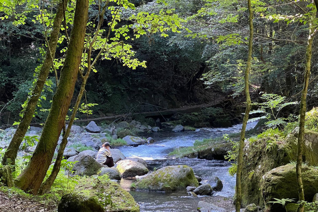 水源の森で自分を感じる時間