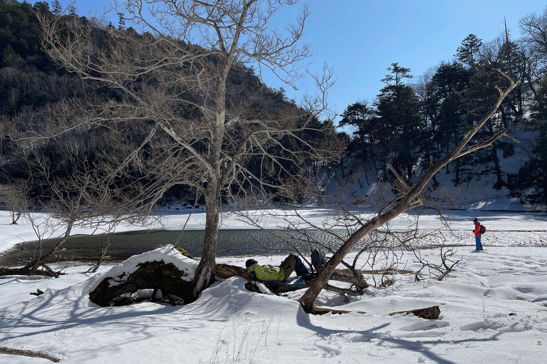 雪の上を歩いたり寝転がったり、ぼーっとしてみたり