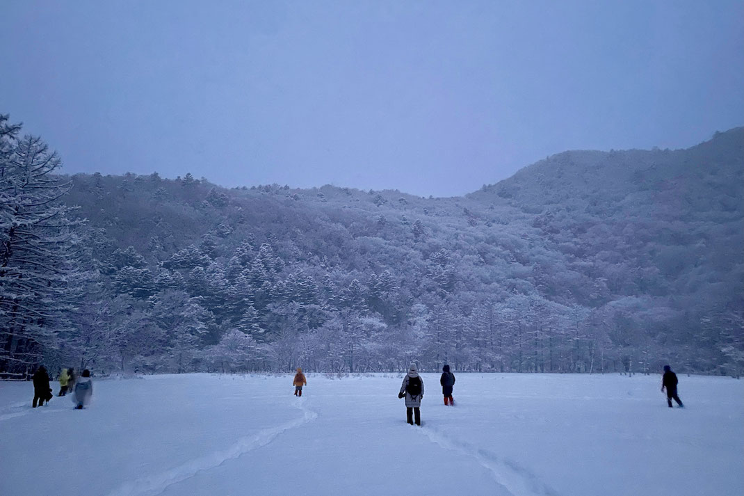 夜明け前の雪原を、各々のペースで歩くよる森の参加者たち。