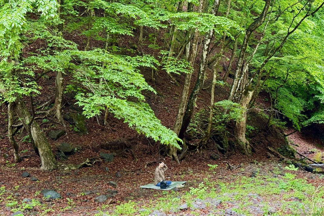 想い想いの森の一人時間