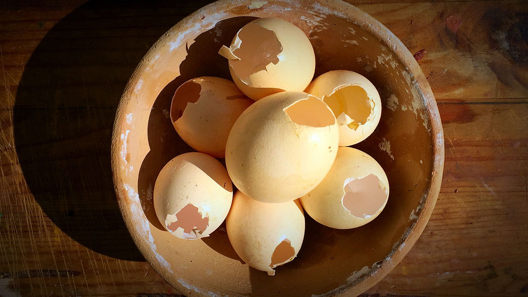 Kleine Eier von kleinen Hühnern sind besonders gut geeignet – zum einen bleibt die Menge des hergestellten Bindemittels überschaubar, zum anderen kann man mehrmals am Tag vorführen, wie man Tempera herstellt :-) 