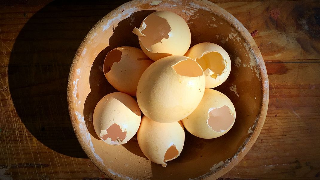 Small eggs by small chickens are best apt for making Tempera – you'll make a manageable amount of stuff and you're able to show this several times a day :-)