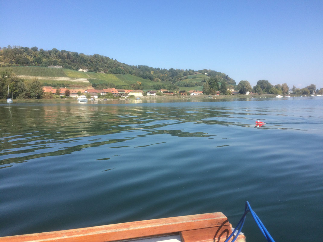 Hecht, Zander, Egli, Murtensee, Bielersee, Fischen im Seeland, Angeln, Fischerboot, Barsch, Zetti, Esox, Pike, Perch, Boot, Schleppen, Wobbler, Kunstköder, Zihlkanal, Zander, Felchen, Raubfisch, Wels, Angeln