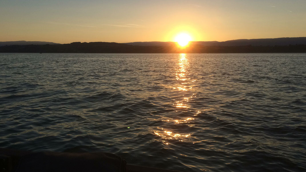 Fischen, Egli, Zander, Hecht, Murtensee, Bielersee, Seeland, Angeln, Köder, Kunstköder, Fischerboot, Fischerei, Fisch, Angeln, Angler, Fischerrute, Fangbericht
