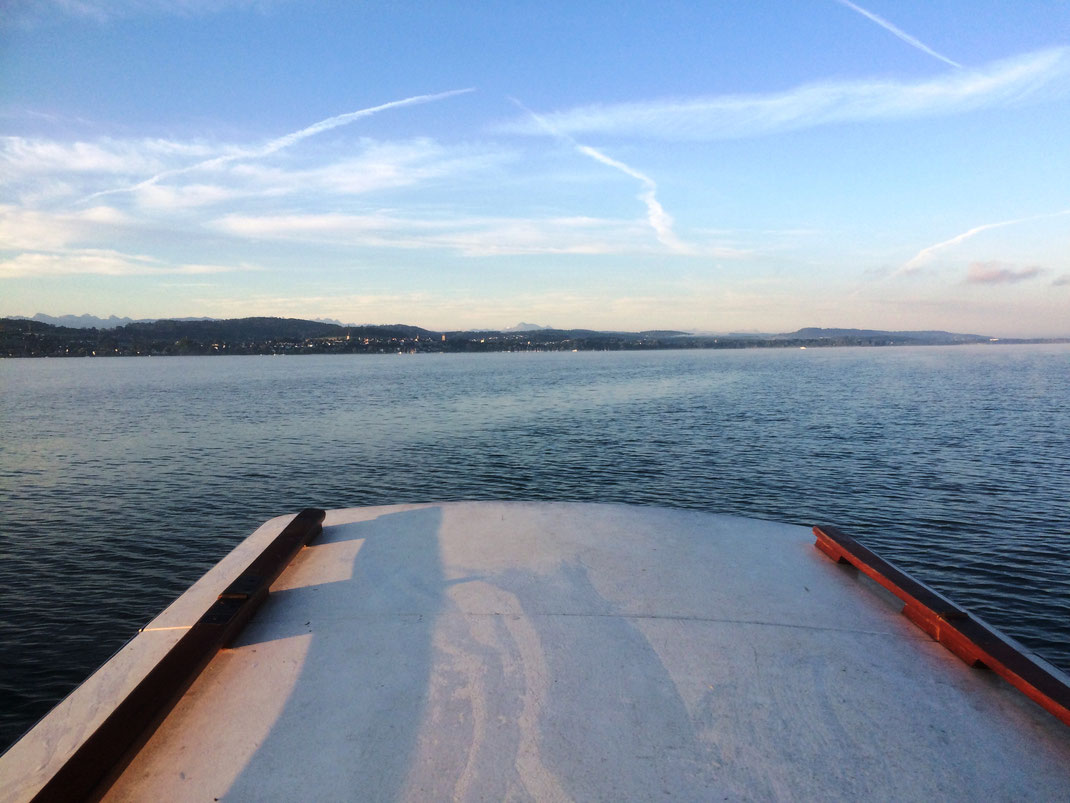 Hecht, Zander, Egli, Murtensee, Bielersee, Fischen im Seeland, Angeln, Fischerboot, Barsch, Zetti, Esox, Pike, Perch, Boot, Schleppen, Wobbler, Kunstköder, Zihlkanal, Zander, Felchen, Raubfisch, Wels, Angeln