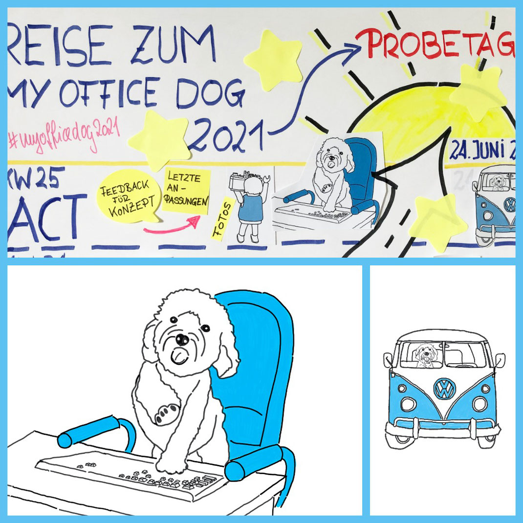 My Office Dog 2021 Probetag am 24. Juni. In Verbindung mit dem Kollege Hund Aktionstag des Deutschen Tierschutzbundes. Das Finale einer Vorbereitungsreise.