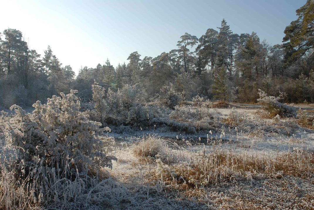 Foto: Dr. Eberhard Pfeuffer