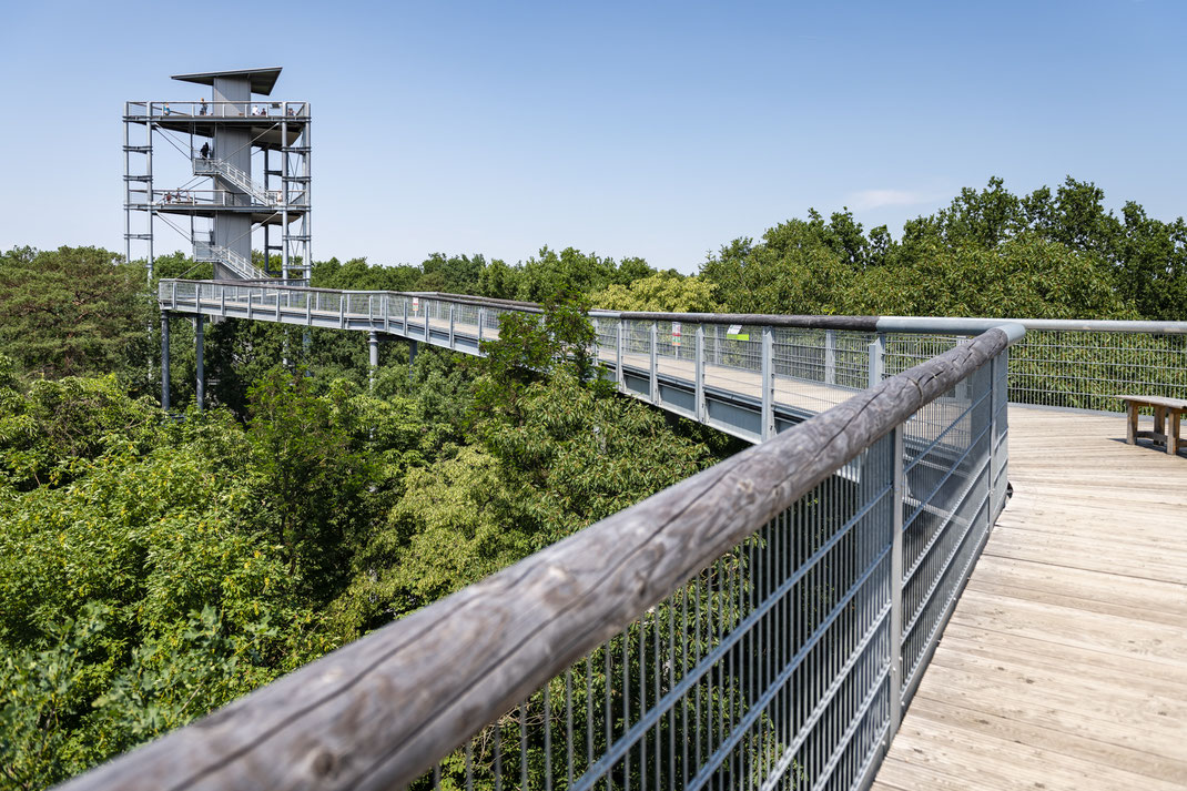 Aussichtsplattform Beelitz Baumkronenpfad