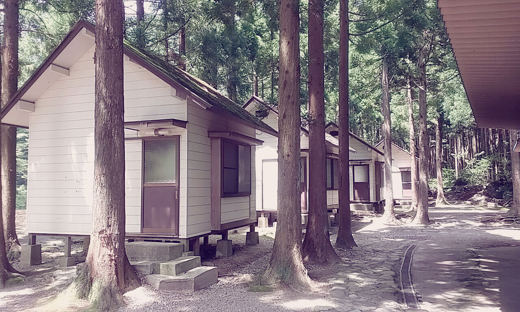 すぎのこキャンプ場 スイス村 旧テント村 岐阜県 板取川流域キャンプ場 徹底比較