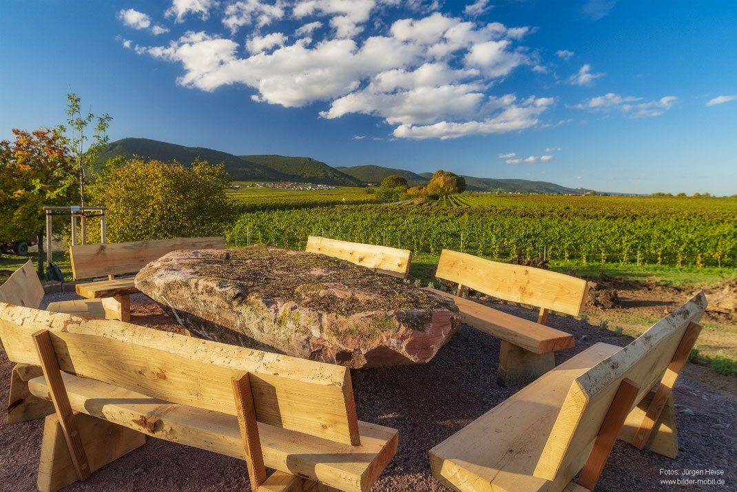 Klima-Arboretum der VG Edenkoben auf ehemaligem Flemlinger Sportplatz.