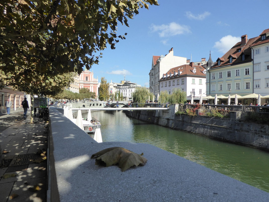 Traumhaft schönes Ljubljana.