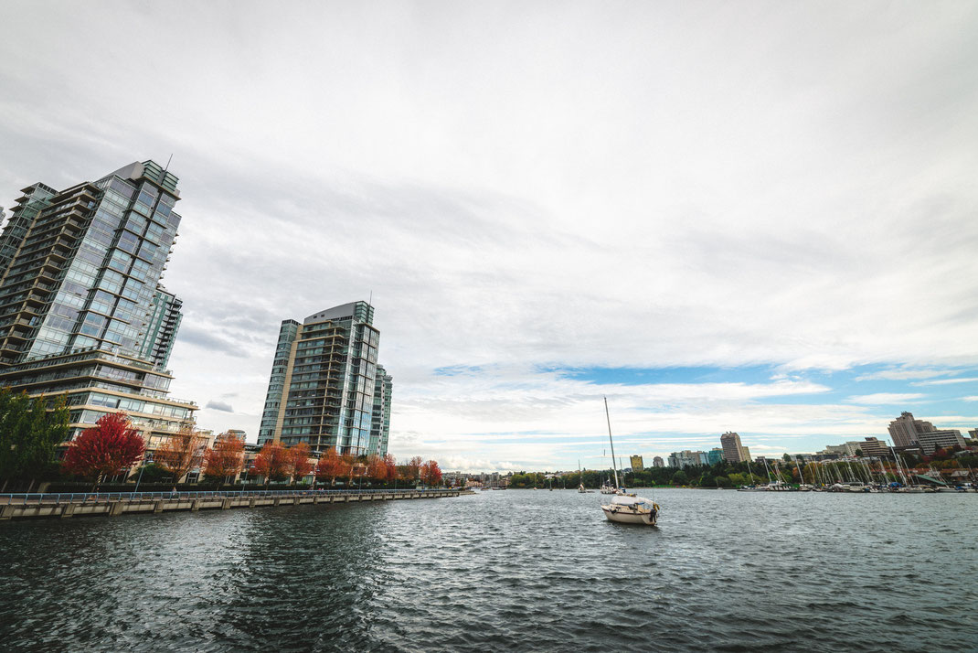 the shore with skyscrapers at False Creek