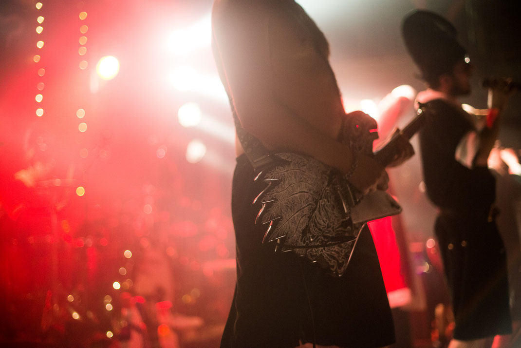 Concert Photography Hamburg