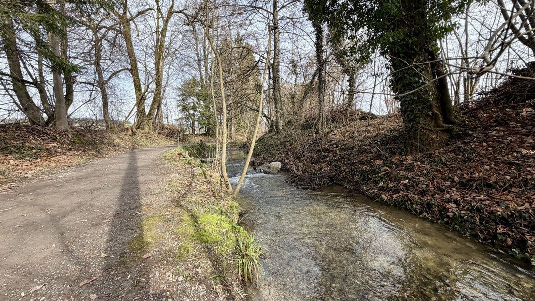 Kiesweg neben einem kleinen Bach zwischen Kollermühle und Baar im Kanton Zug bei sonnigem Winterwetter.