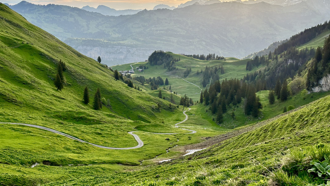 Aufstieg vom Stoos durch das Couloir zur Furggelen beim Trailrun Stoos Fronalpstock, Zentralschweiz, frühe Morgenstimmung.