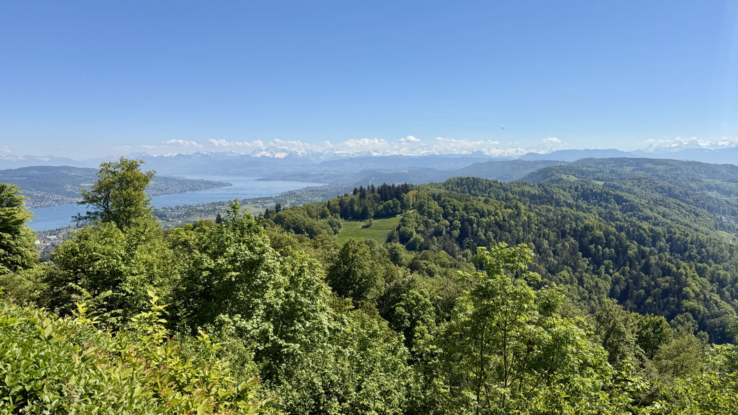 Aussicht vom Uetliberg mit Blick auf den Zürichsee, die Albiskette und Bündner Alpen an einem sonnigen Tag