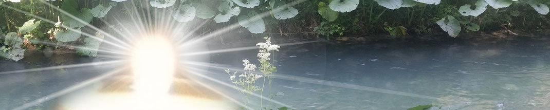 Lichtgarten Licht-Garten Kerzen Teelichter Jumboteelichter Jumbo-Teelichter Simone Fischer Alltagsthema