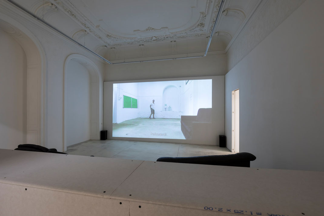 Erik van Lieshout Ausstellung exhibition 2019 Galerie Krinzinger Wien - Video De Peel Landschaft Niederlande.