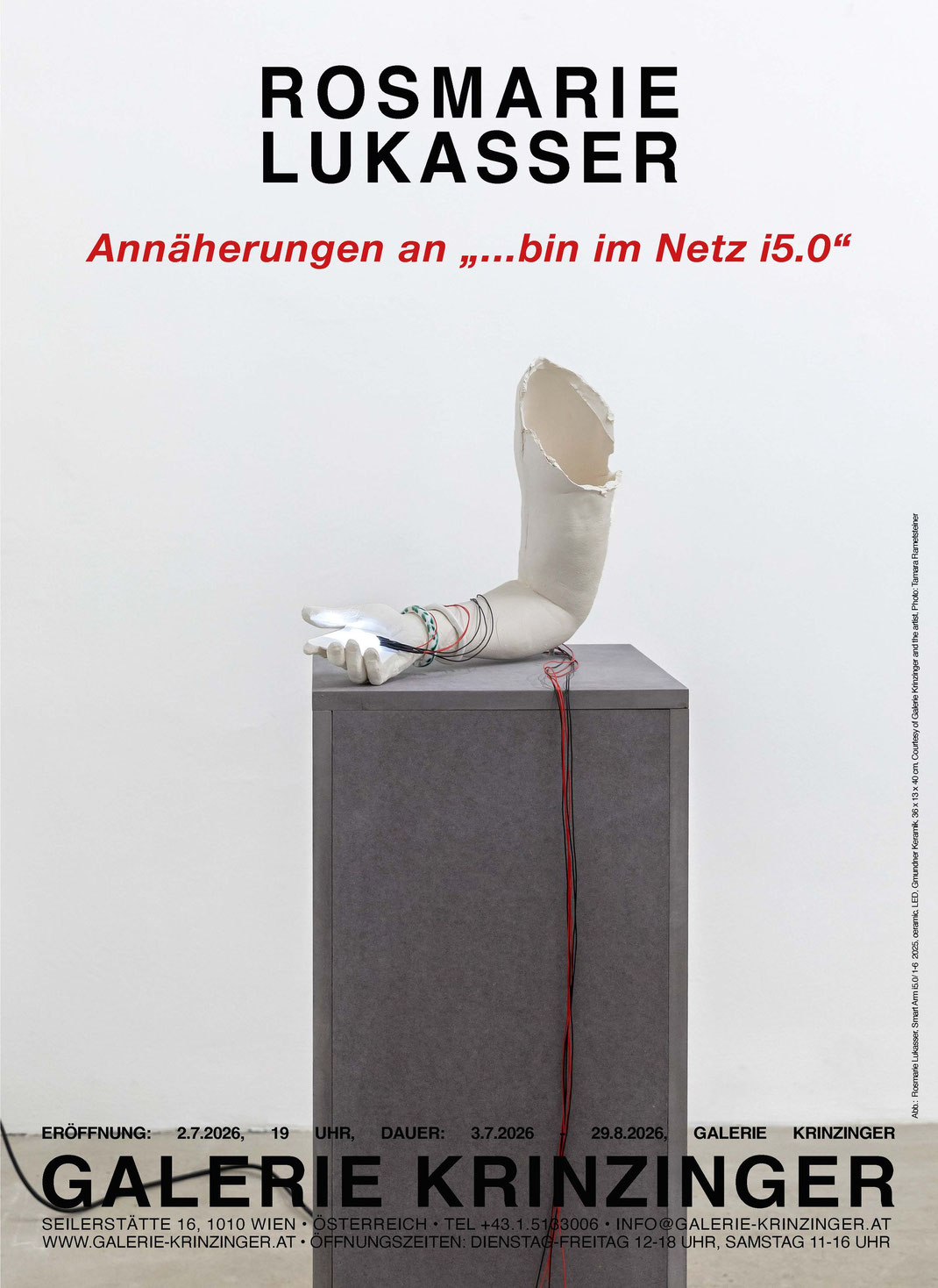 Rosmarie Lukasser Ausstellung in der Galerie Krinzinger 2026 - Poster zur Ausstellung.