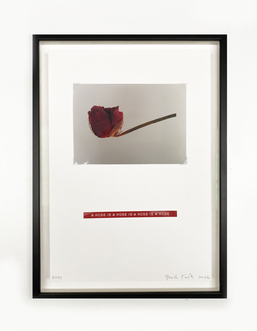 Gavin Turk art print edition eros a rose is a rose is a rose Kunst Edition. 