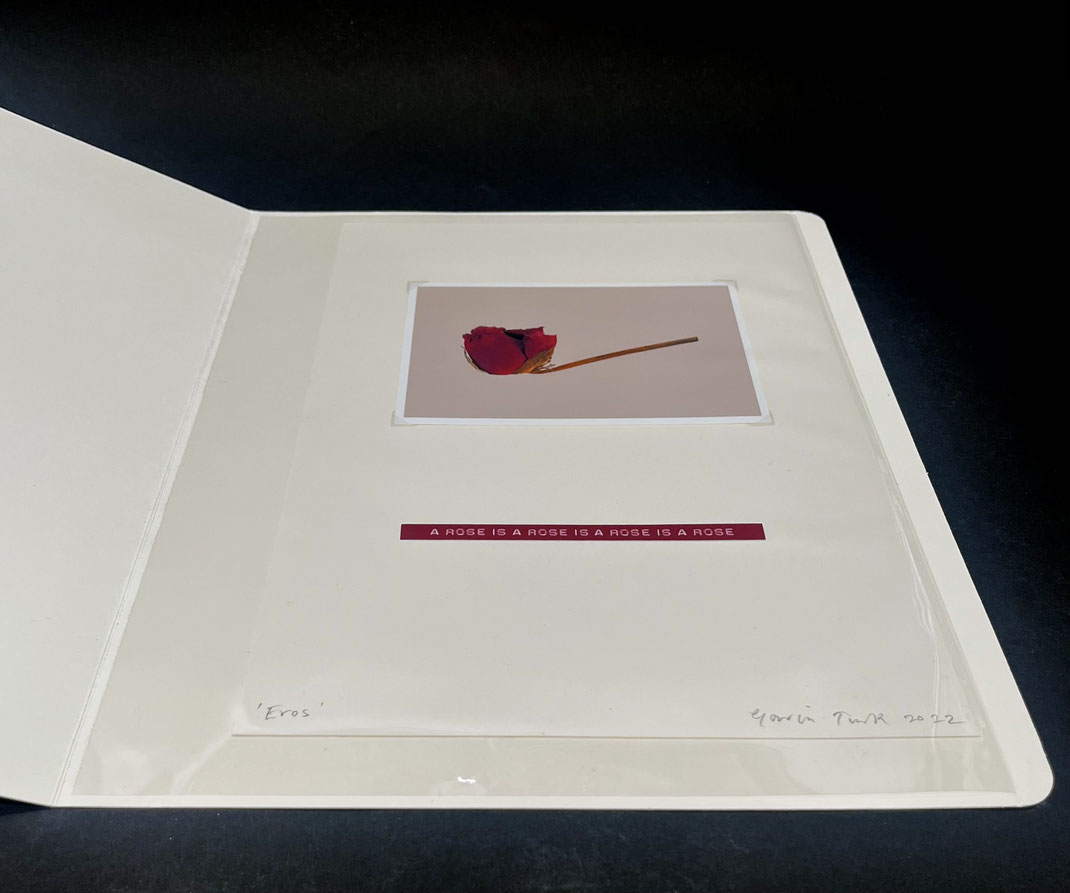 Gavin Turk Art art print  A rose is a rose is a rose Kunst von Gavin Turk 