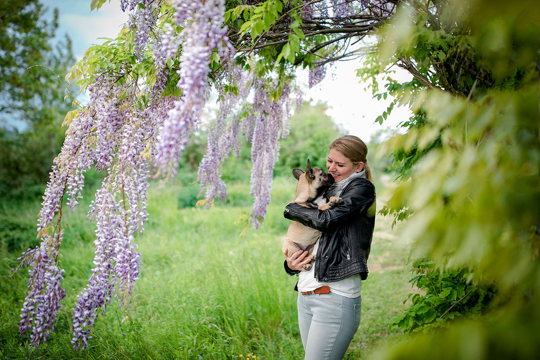 Tierfotograf Hundefotograf Fotograf Fotostudio Hund Welpe Welpen Hunde Fotoshooting Rheinfelden Lörrach Basel Freiburg im Breisgau Bern Schweiz Zürich Hundefotografie Hundeshooting Hundefotoshooting Hundefotos Hundeportrait Hundeporträt Rassehund