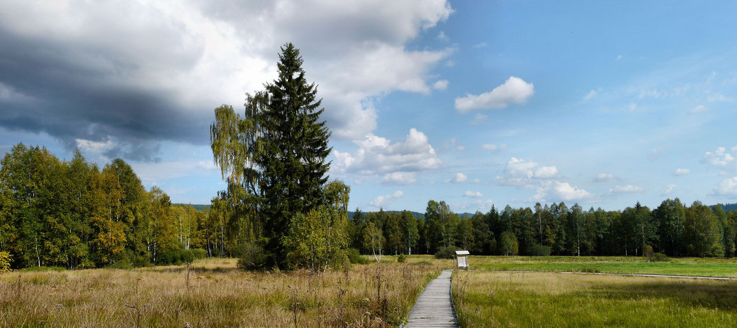Europas größtes Waldschutzgebiet ist ein Segen für die Menschen und auch Natur beiderseits der Grenzen.