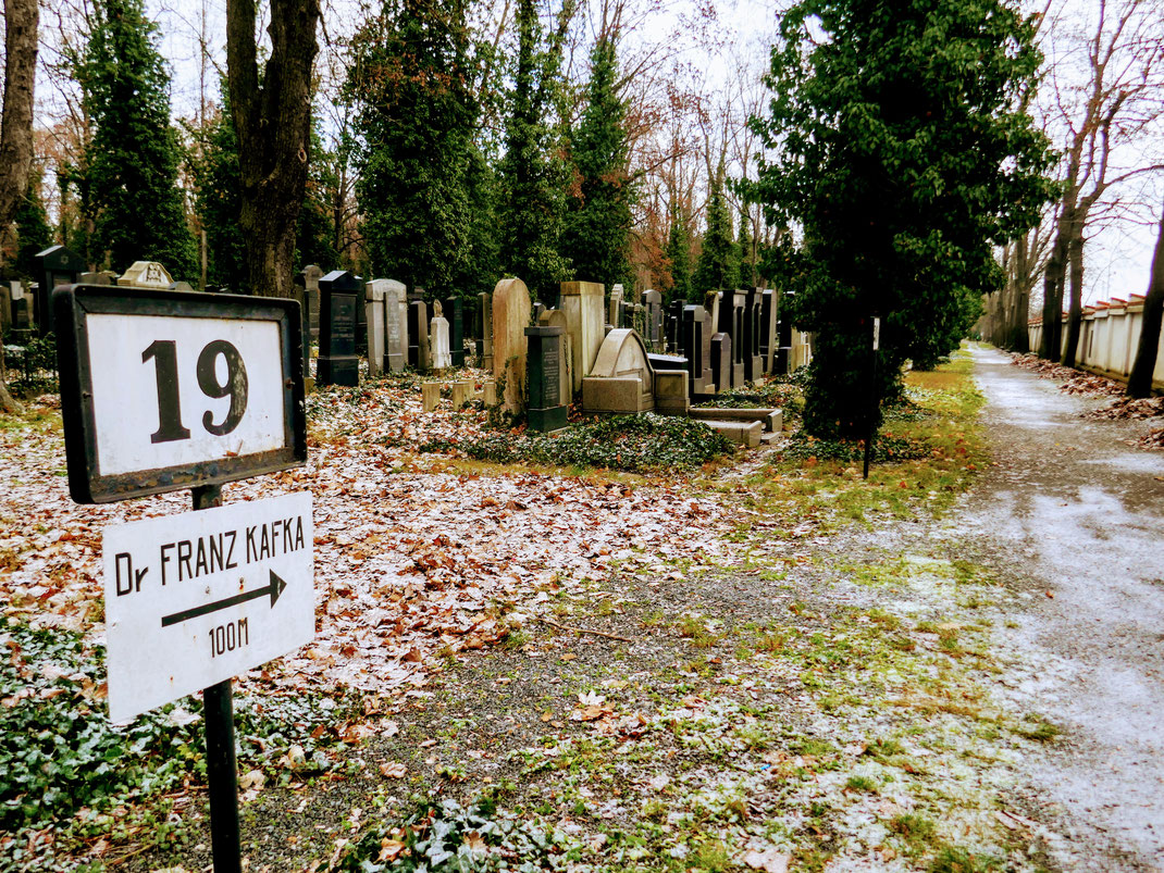 Franz Kafka ist auf dem Neuen Jüdischen Friedhof in Prag begraben / Fotos: Marco Vanek