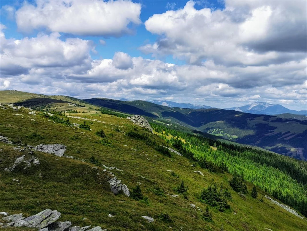 Der Wechsel ist eine schütter bewaldete Hochebene, die sich zwischen 1600m und 1780m Seehöhe vom Niederwechsel zum Hochwechsel zieht.