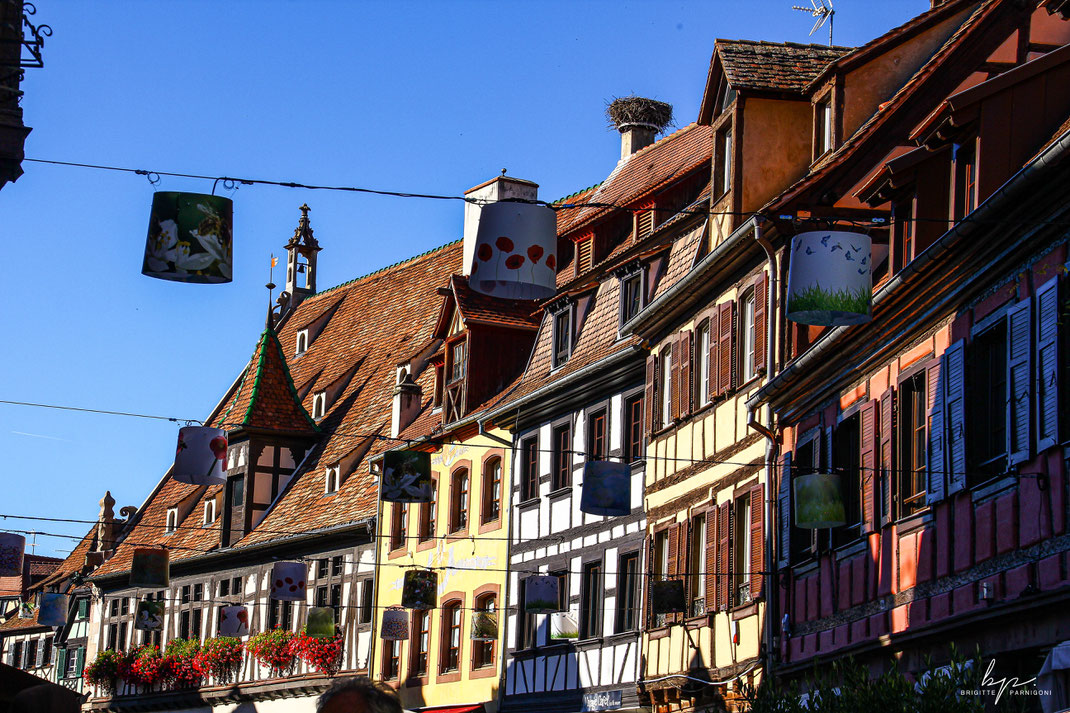 Im Elsass - wie hier in Obernai - werden die alten Fachwerkshäuser besonders gut gepflegt und erhalten / Foto: Brigitte Parnigoni