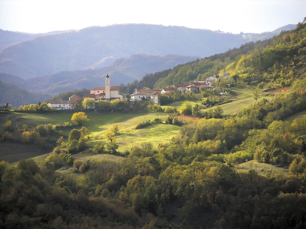 Pareto im Piemont - typisches Landschaftsbild im Monferrato