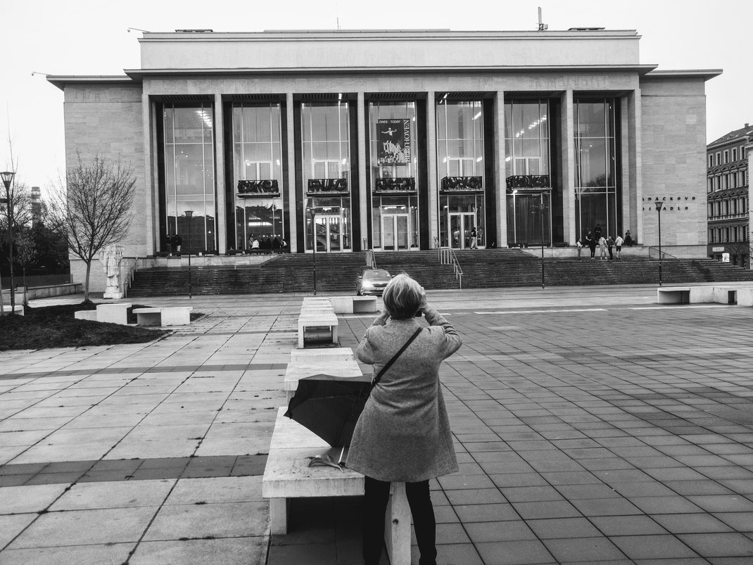    Der Brünner Architekt Jan Víšek (1890–1966) entwarf das Janáček-Theater in der Rooseveltova, das mit über 1000 Sitzplätzen  zu den größten Theatergebäuden in Tschechien zählt.