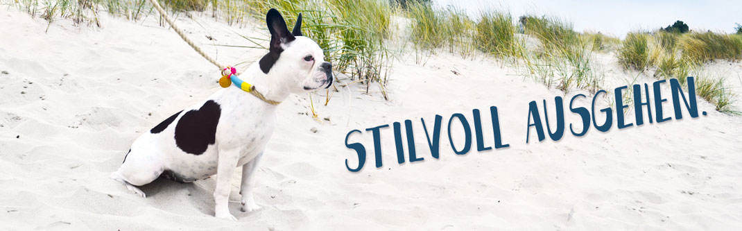 Hundestrand Hundeleine Hundehalsband Spazieren gehen am Strand Hund Bulldogge