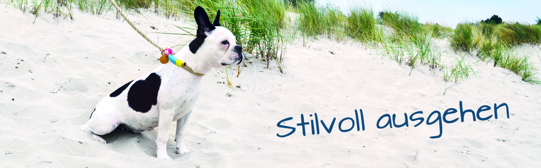 Hundestrand Hundeleine Hundehalsband Spazieren gehen am Strand Hund Bulldogge
