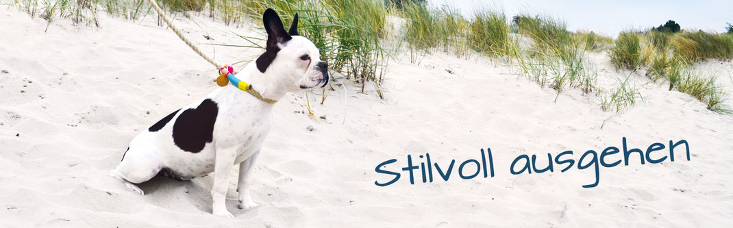 Hundestrand Hundeleine Hundehalsband Spazieren gehen am Strand Hund Bulldogge