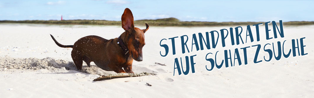 Hundestrand Shop besonderes für vier Pfoten Angebot Angebote