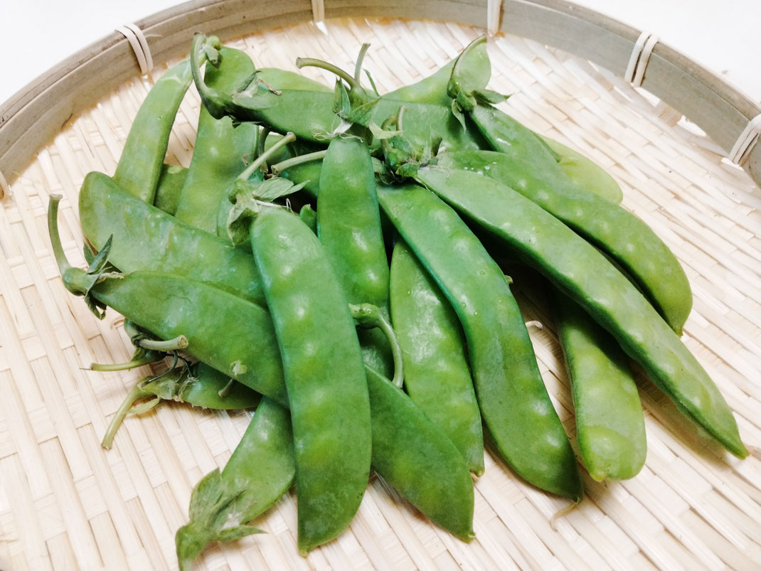 きぬさや