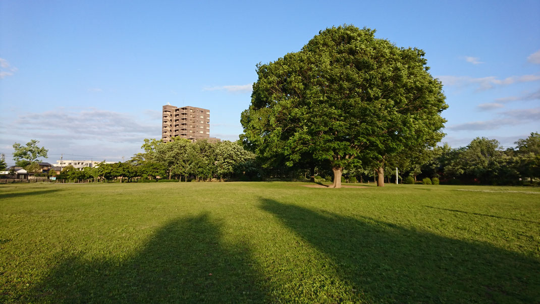 三重県松阪市 鈴の森公園 笑いヨガ(ラフターヨガ) 大きな木の下に集合！