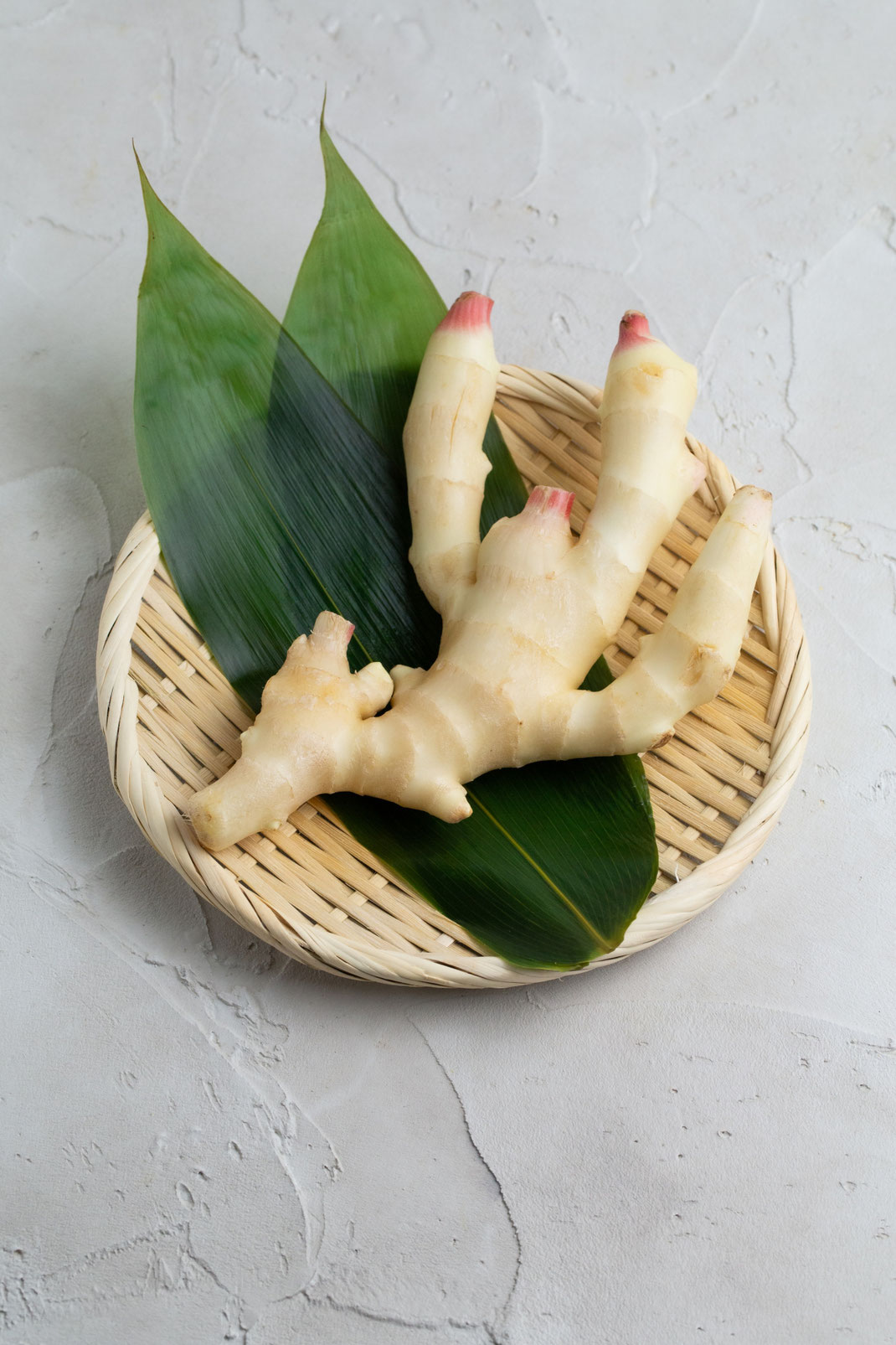 新しょうが