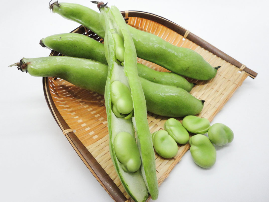 そら豆そら豆