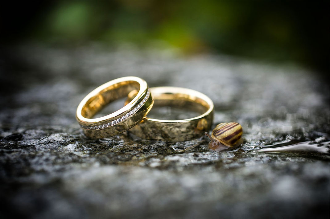 Eheringe, gelbgold, schnecke, diamanten, regen, die richtige, spiegelreflexkamera, systemkamera, investieren, kaufen, genau hinschauen. weniger ist mehr