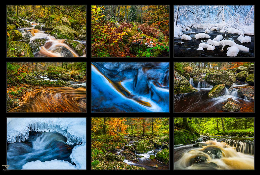 Das Bild zeigt eine Collage von Bach und Fluss Fotos aus den Ardennen nahe des Hohen Venns