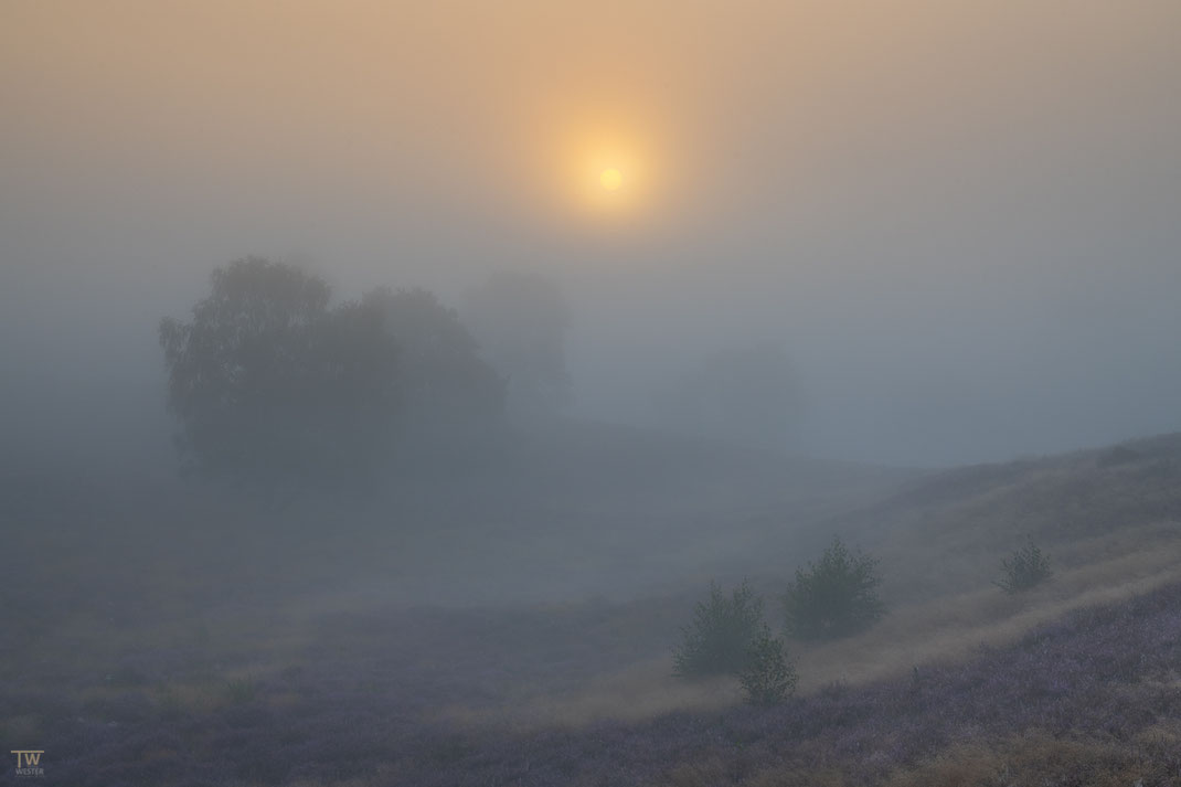 Langsam drang die Sonne durch die Nebeldecke… (B2729)