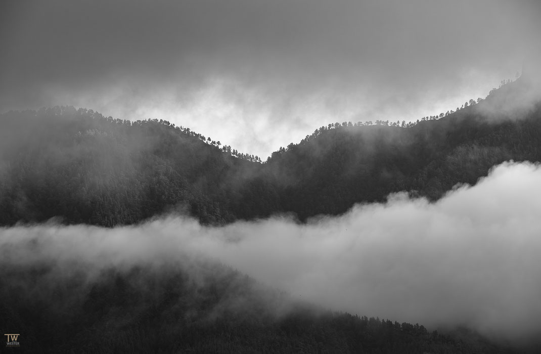 Schwarz und Weiss (B16)