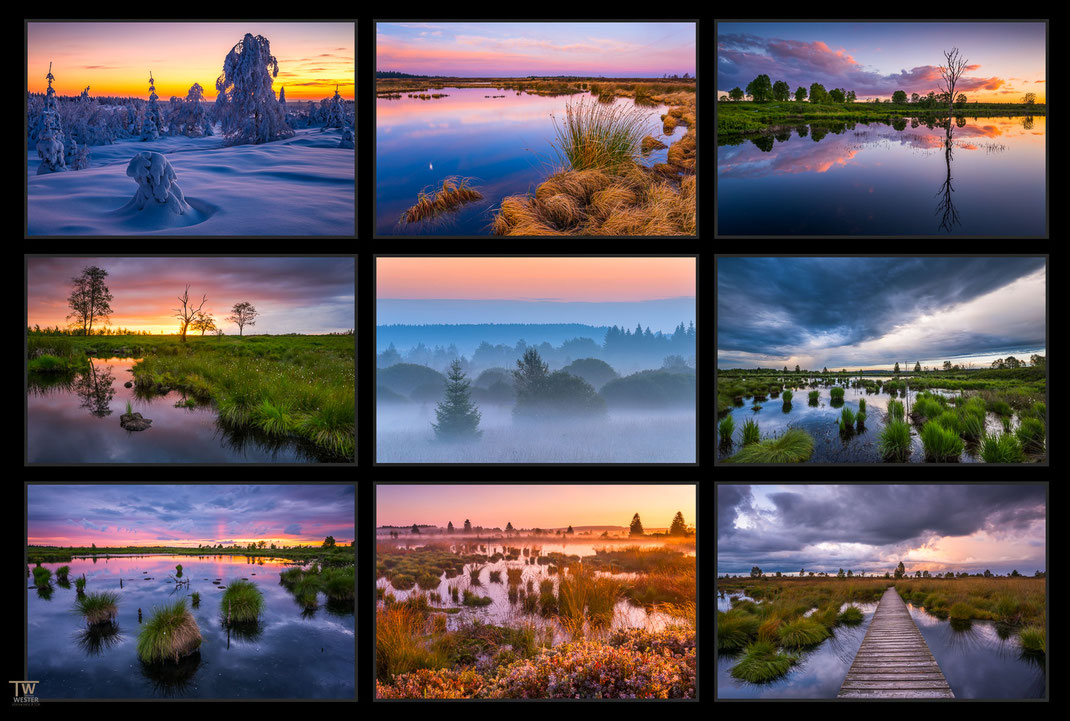 Das Bild zeigt eine Collage von Landschaftsfotografien des Hohen Venns mit seinem weiten Hochmoor