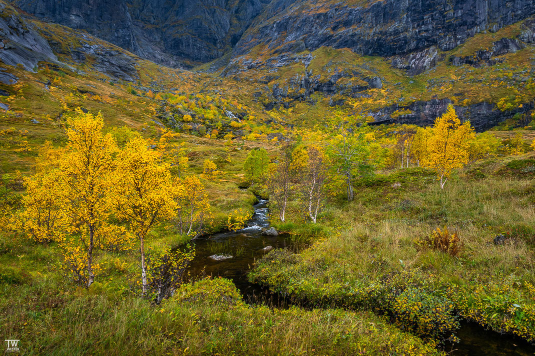 Direkt im Fjord gelegen, stießen wir auf dieses bunte Fleckchen Erde; gut, dass ich diesmal ein 100-400 dabei hatte, so konnte ich den winzigen Wasserfall im Hintergrund auch noch in Szene setzen, wie auf dem nächsten Bild zu sehen (B3269)