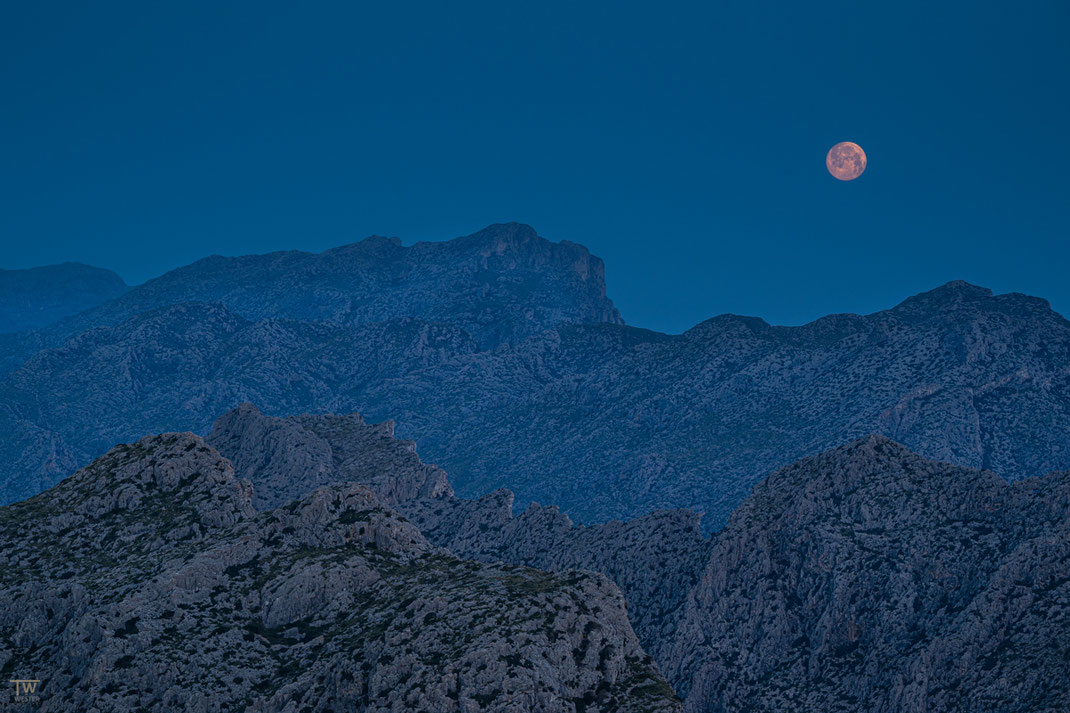 Monduntergang über dem Tramuntana Gebirge, bevor ich den Zwergadler fotografieren konnte (B3047)