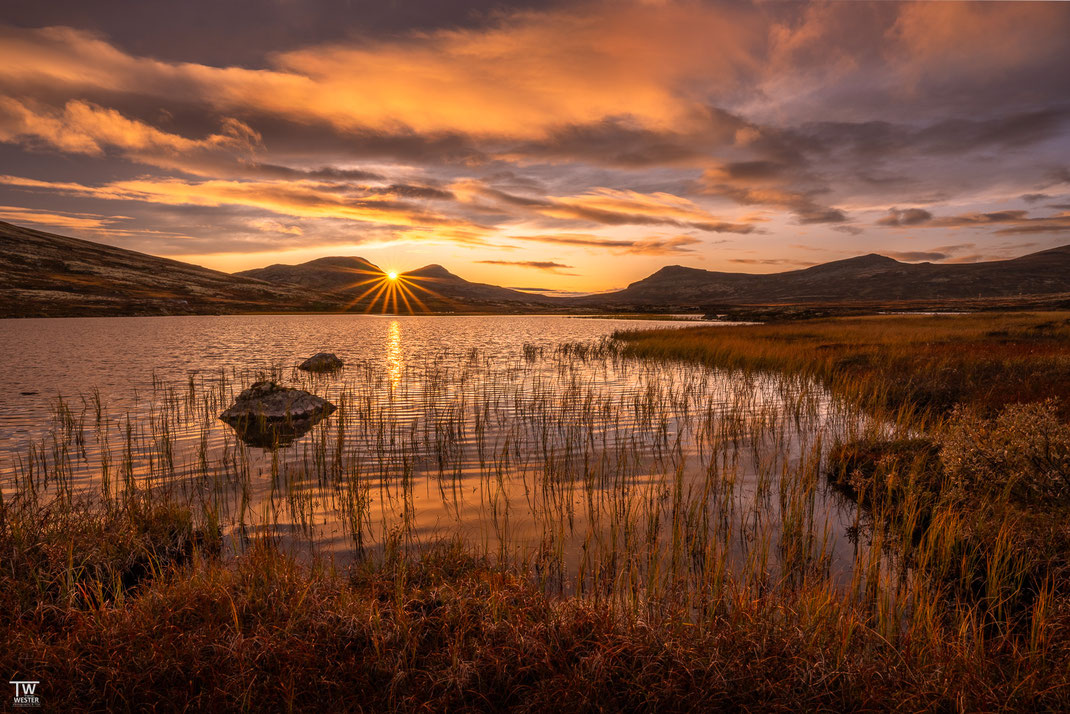 (7) Und auch an diesem Abend war das Licht auf unserer Seite, hier im südlichen Rondane